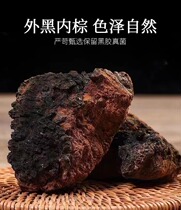 Chaga birch tree tears Inonotus obliquus Changbai Mountain wild special shot to make up for the price difference link single shot will not be sent