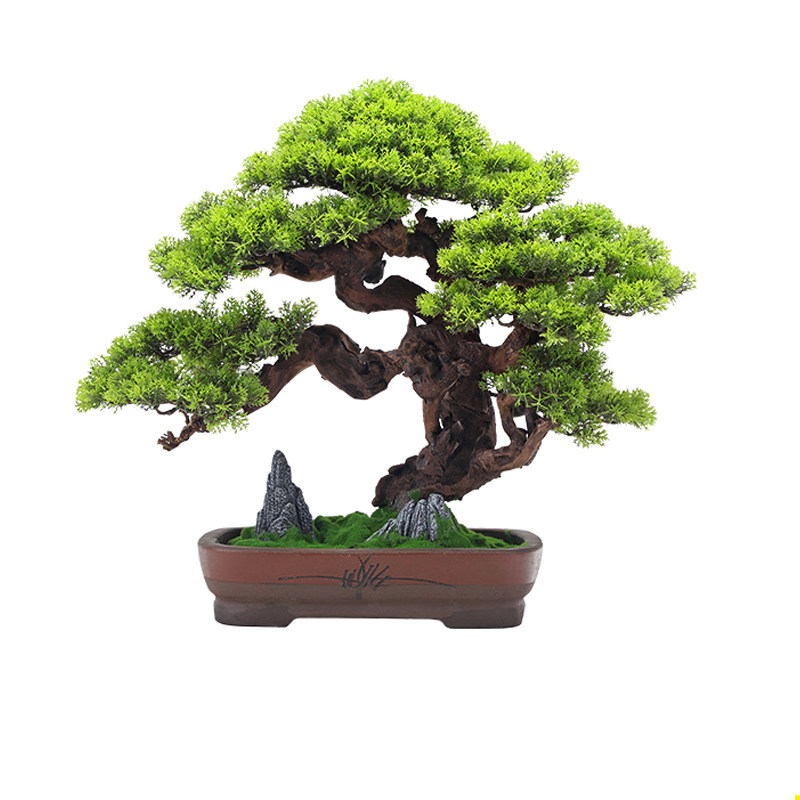 一念晨园