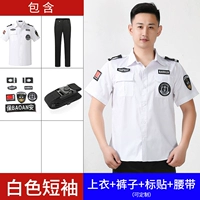 Белая футболка, штаны, ремень, короткий рукав