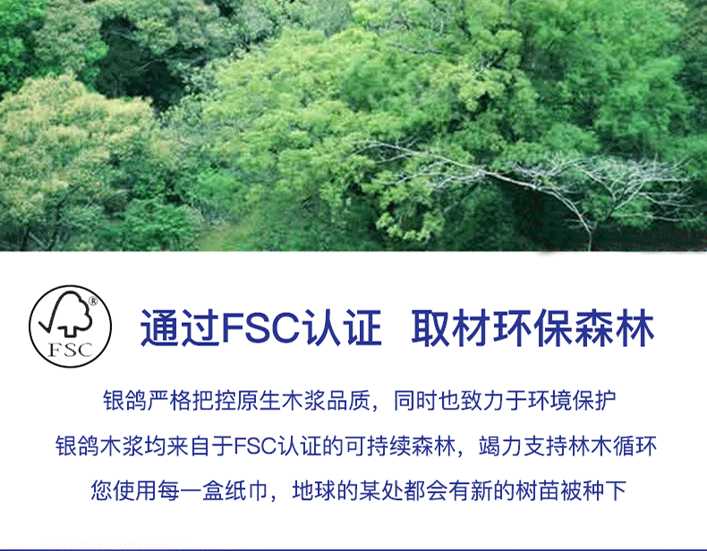 全国最大造纸集团之一 银鸽 家用无芯卷纸 3层36卷 图10
