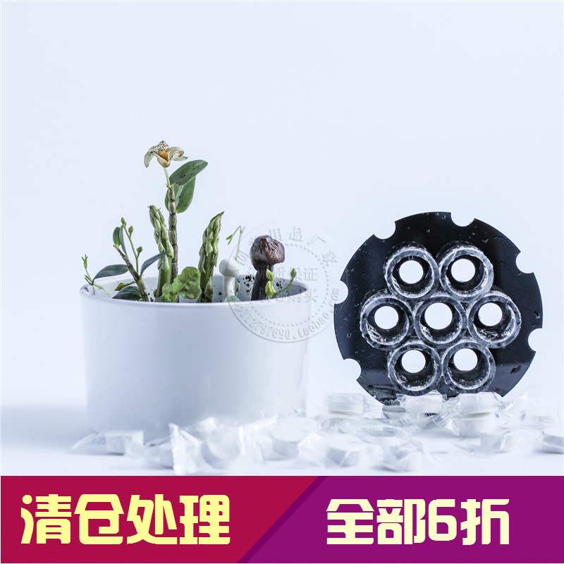 Everything grows salad tableware Nicholas Tse decisive battle kitchen god plant growth potted vegetable growth tableware up the bomb