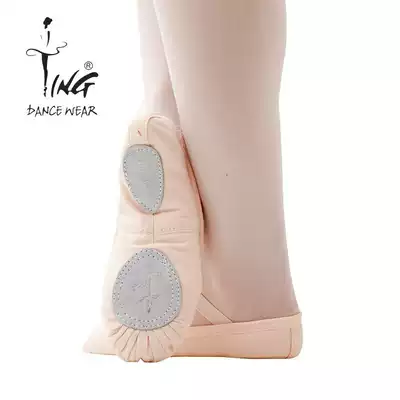Chen Ting Girl Flesh Ballet Dance Shoes Dance Soft Bottom Practice Shoes Men's Belly Dance Shoes Cat Claws Canvas Shoes Adult