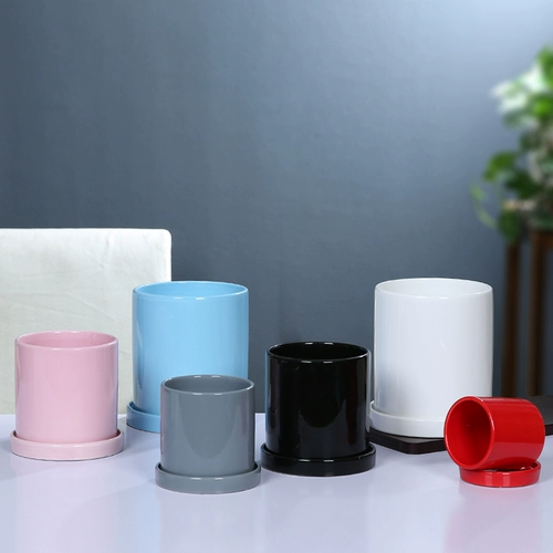 Керамический в северном стиле Простые цилиндрические черно -белые световые пояса отделяет лоток сочный зеленый укроп зеленое растение