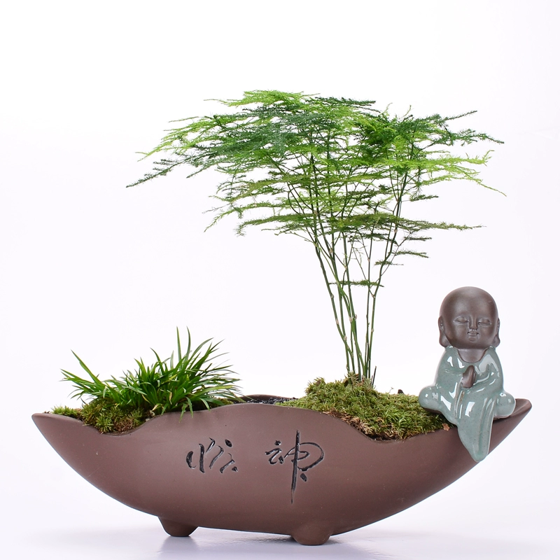 Zisha chậu hoa mọng nước chậu hoa calamus cá tính kết hợp sáng tạo trang trí nhỏ bonsai thủ công măng tây cổ điển đặc biệt - Trang trí nội thất