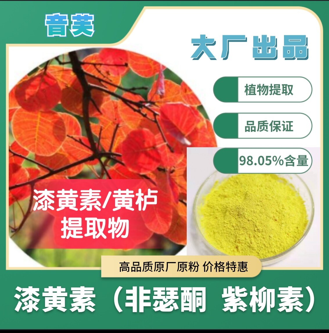 漆黄素 黄栌提取物 高纯度漆黄素 98%漆黄素非瑟酮