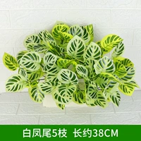 5 белый хвост Феникса