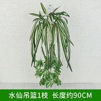 ЦИ ЧАСУРАКСА