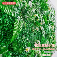 Арахисовая трава с Xiaohua