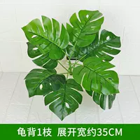 Средняя черепаха доля