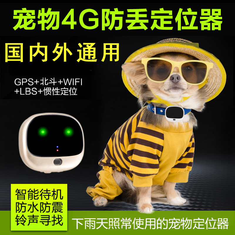 Sharp Peak Huizhi 4G Pets GPS Locator Pooch Kitty Waterproof Collar Hunting Dog Dog Overseas Defense Lost