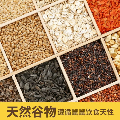 Корм для хомяков, питание, основные продукты питания, корм, закуски, палочки для прорезывания зубов, лапша, специальный корм для мучных червей, золотые медведи, корм для крыс