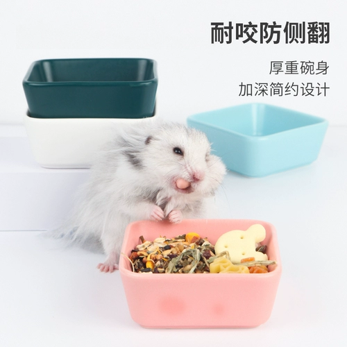布卡星 Хомять пищевая чаша Керамическая чаша Золотое шелковое медведь Чиншилла морская свинка против