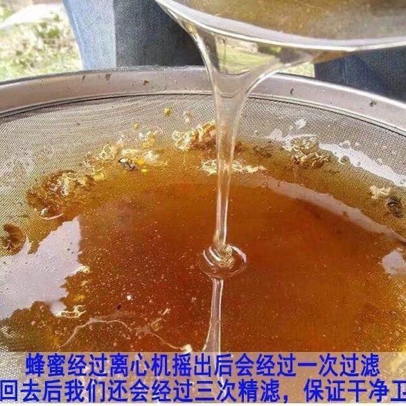 Bulk Natural Honey for Commercial Use, Suitable for Cakes, Breads, and Baking, Pure Natural Honey for Bee Feeding, Wholesale