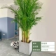 Daiping Floor рекомендуется бутик San Tail Aoi 1,6-1,8 метра 12 [квадратный цементный бассейн]