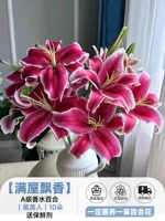 Прекрасная парфюмерная лилия 丨 Black Beauty 丨 10 лилий + 2 лилии для предотвращения повреждений и содержат консервант [полный зал ароматов]