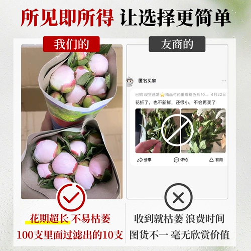 Feng yu luo jinchi pei цветок цветок цветок цветок Yunnan прямые волосы Букет шандун Hze Pei Flower Clorte Room Гостиная уход за водой цветы