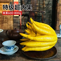 [Супер сильный аромат] Бергамот очень крупный фрукт [1] шт. [600-800 г/шт.]