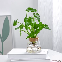 Маленький ангел + чашка вулкана