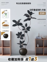 5-полюсное каучуковое дерево, 1,9 метра, 33 листа, черное + черный шариковый горшок (возможна доставка SF Express)