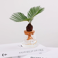 [Рекомендация] Двойное железное дерево+вулканическая чашка