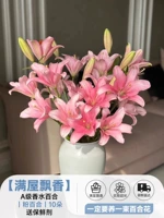 Изысканная парфюмерная лилия 丨 Розовая лилия 丨 10 лилий + 2 лилии для предотвращения потерь и бесплатный консервант [полный зал ароматов]