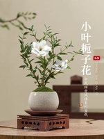 Цветок Lagua Gardenia+белые трещины Золотая граница+Опоздавание с фиолетовым песком+поддержка Fangmu