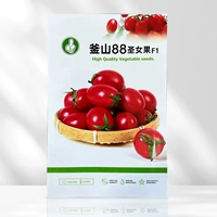 Пусан 88 Семена девственных фруктов 100 Грааля (купить 2 упаковки и отправить 1 упаковку, 1 упаковку тех же семян)