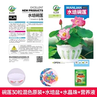 Linya Bowl Lotus Seed Lotus смешанный цвет 3 мешки+гидропонный бассейн+кристаллический шарики+раствор питания