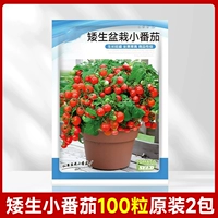 Двадцатисторные томатные 100 зерен 2 упаковки