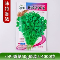 [Кориандр мелколистный имеет сильный аромат] Кориандр мелколистный 50 г оригинал ≈ 4000 капсул, очень ароматный