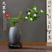 Дифференциальный горшок с дрейфом джиули Сян+Круглый Стол Базой