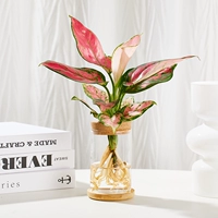 Ruyi Queen+цилиндрическое стекло+основание