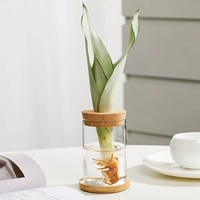 Белый нефритовый тигр Pilan+цилиндрическое стекло