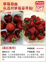 Новый продукт-япон-япон