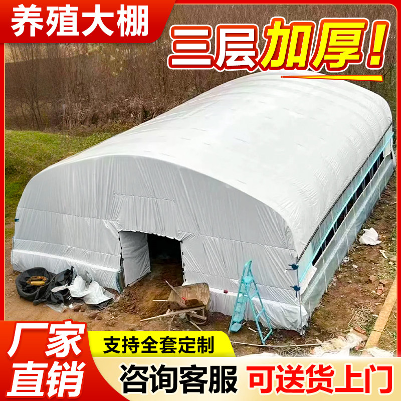 黑白膜养殖大棚全套定制三层防晒加厚钢管骨架温室农用养鸡鸭牛猪