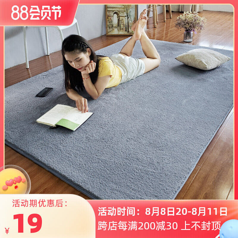 Carpet Nord in Bedroom full of cute gray living room cushion mattress bedroom bedside balcony mat