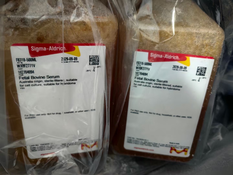 Sigma/F8318/F8687/F0193/Calf Serum/500Ml Sigma/F8318/F8687/F0193/Calf Serum/500Ml