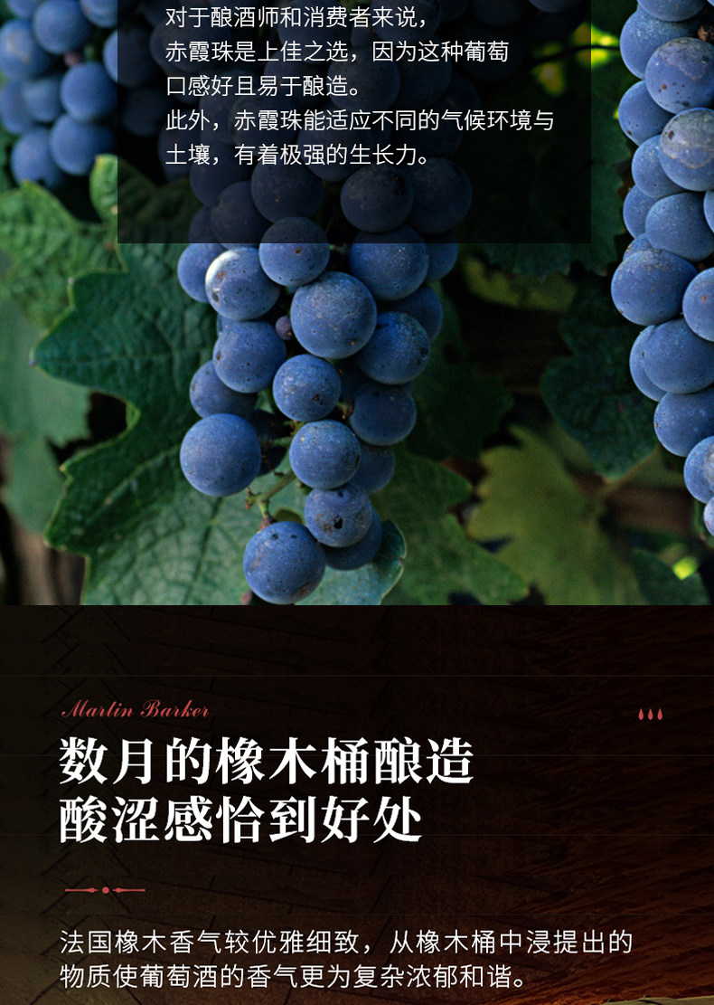 直降80元新低！法国原瓶进口：6瓶 Doris New新多乐丝 干红葡萄酒组合装礼盒 118元包邮（之前推荐198元） 值值值-买手聚集的地方