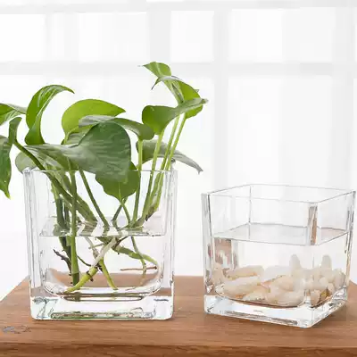 Simple square hydroponic glassware Transparent square jar Gold Ge water lily Copper money grass hydroponic flower pot Glass vase