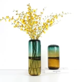 SMS Creative Color Matching Glass Vase Flower Bottle Flower
