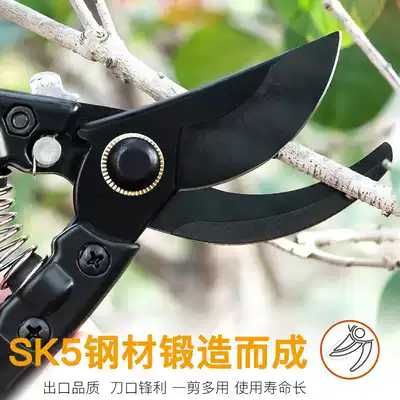 Garden pruning scissors imported coarse branches, fruit trees, labor-saving scissors, gardening pruning branches, repairing flowers, picking fruits and vegetables, fruit scissors