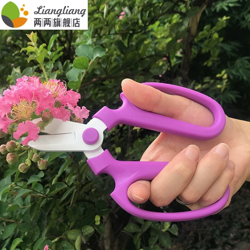 Ножницы для садоводства.