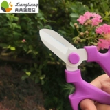 Ножницы для садоводства.