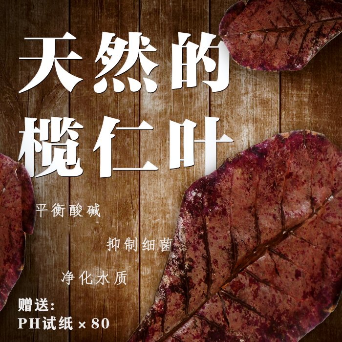 Ruren Leafs Sloth Man Leaf Water Clan Fighting Fish Tank Native small tropical fish turtle Turtle Shrimp Vat Down Acid Aquarium ph Value-Taobao