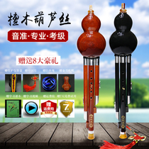 Ebony professional gourd silk c tone seven holes Adult playing grade exquisite mahogany instrument Beginner B tone 7 holes