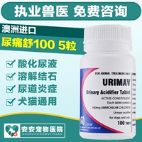 Đau nước tiểu Shu 100mg chó và mèo hòa tan bàng quang nước tiểu / nước tiểu axit / điều trị viêm niệu đạo bàng quang - Cat / Dog Health bổ sung sữa cho chó con mới sinh