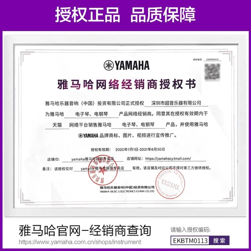 Yamaha Yamaha KB209 61 Force Key Only Professional Exmaince Дети взрослые электронные пианино KB191