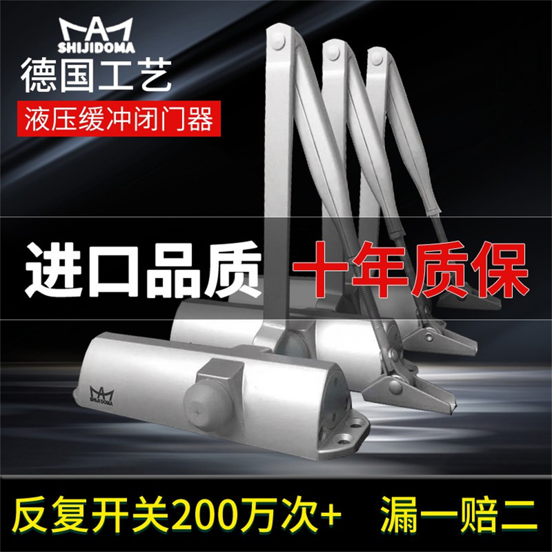 German Rodma Door Closer Hydraulic Buffer Bts68 Gas Spring Century Rodma Dm68 Fireproof Antifreeze Silent