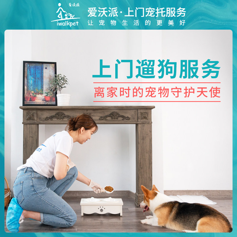 iwalkpet door-to-door cat feeding dog walking Holiday Spring Festival instead of foster care Safe and stress-free