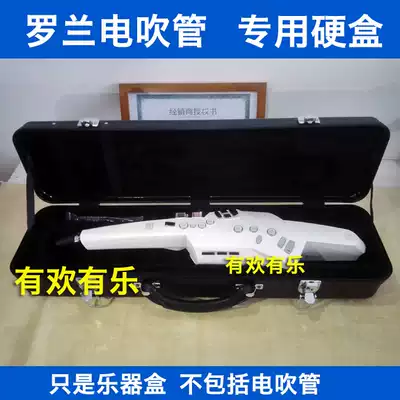 ROLAND electric blowpipe ROLAND AE-10 AE 05 AE-10 AE10 electric blowpipe special hard box